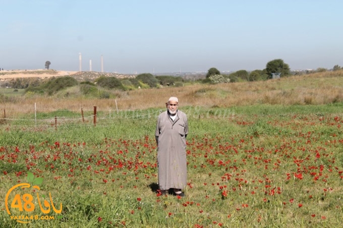 re7la janob (62).JPG